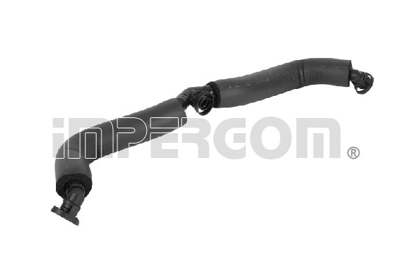 Furtun,aerisire bloc motor partea de jos (225975 IMP) BMW