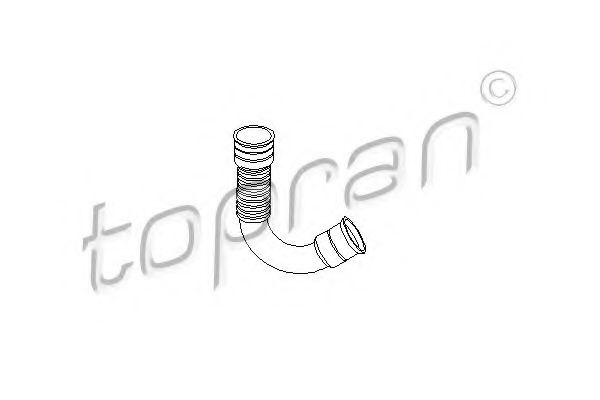 Furtun, aerisire chiulasa AUDI A3 (8L1) (1996 - 2003) TOPRAN 111 359 piesa NOUA