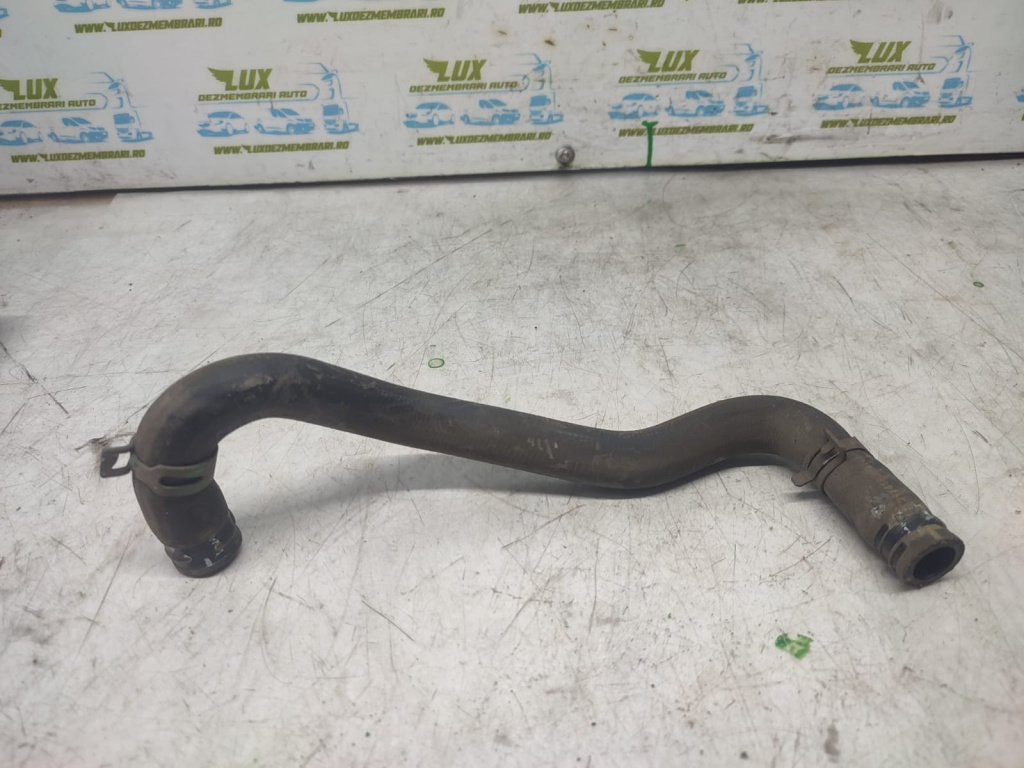 Furtun apa 5AQ601 Renault Zoe [2012 - 2020] 5AQ601