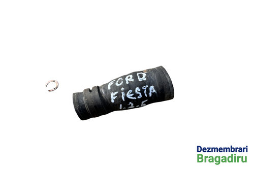 Furtun apa Ford Fiesta 5 [facelift] [2005 - 2010] Hatchback 3-usi 1.3 MT (69 hp)