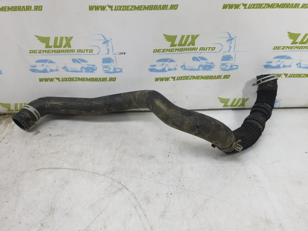 Furtun apa radiator 800710300 1.0 tce Dacia Sandero 3 [2020 - 2022]