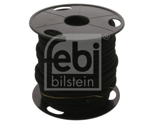 Furtun Combustibil Febi Bilstein Evobus 10047