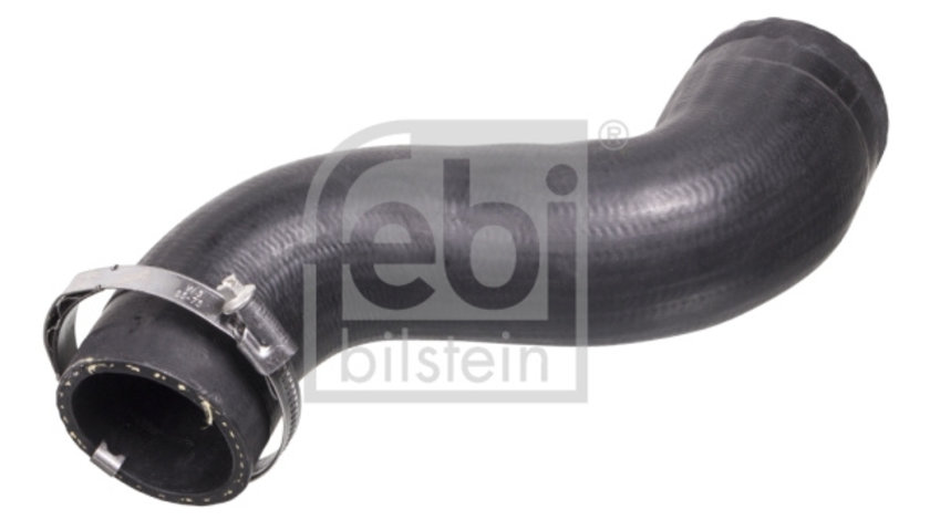 Furtun ear supraalimentare (103139 FEBI BILSTEIN) MERCEDES-BENZ