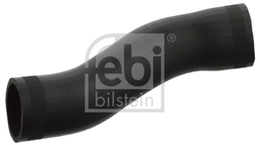 Furtun ear supraalimentare (103294 FEBI BILSTEIN) VW