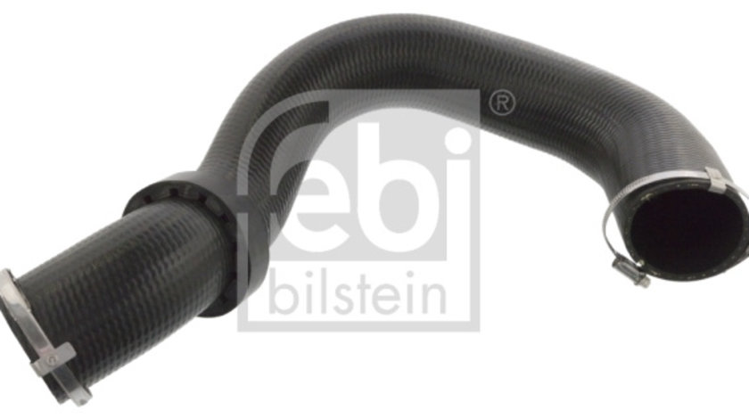 Furtun ear supraalimentare (106569 FEBI BILSTEIN) VW