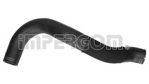 Furtun ear supraalimentare (20634 IMP) Citroen,FIA...