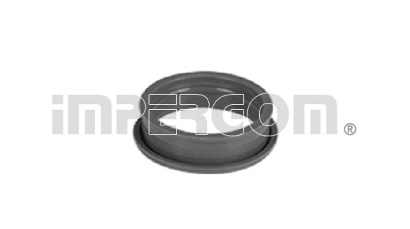 Furtun ear supraalimentare (223553 IMP) VW