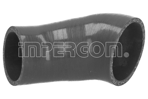 Furtun ear supraalimentare (224138 IMPERGOM) FORD
