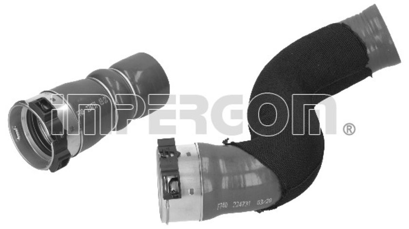 Furtun ear supraalimentare (224731 IMP) RENAULT