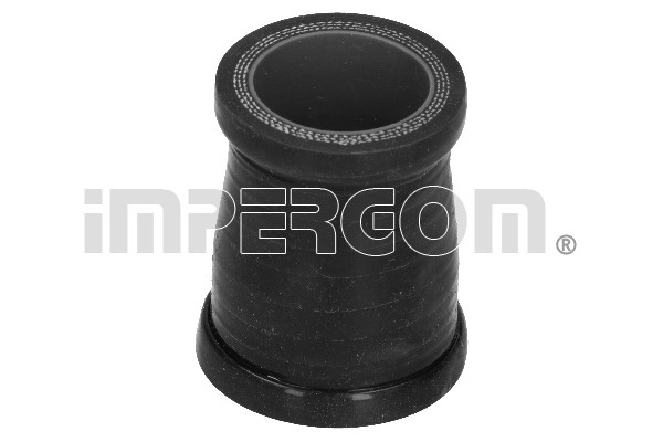 Furtun ear supraalimentare (225045 IMP) FORD