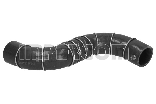 Furtun ear supraalimentare (227707 IMP) NISSAN