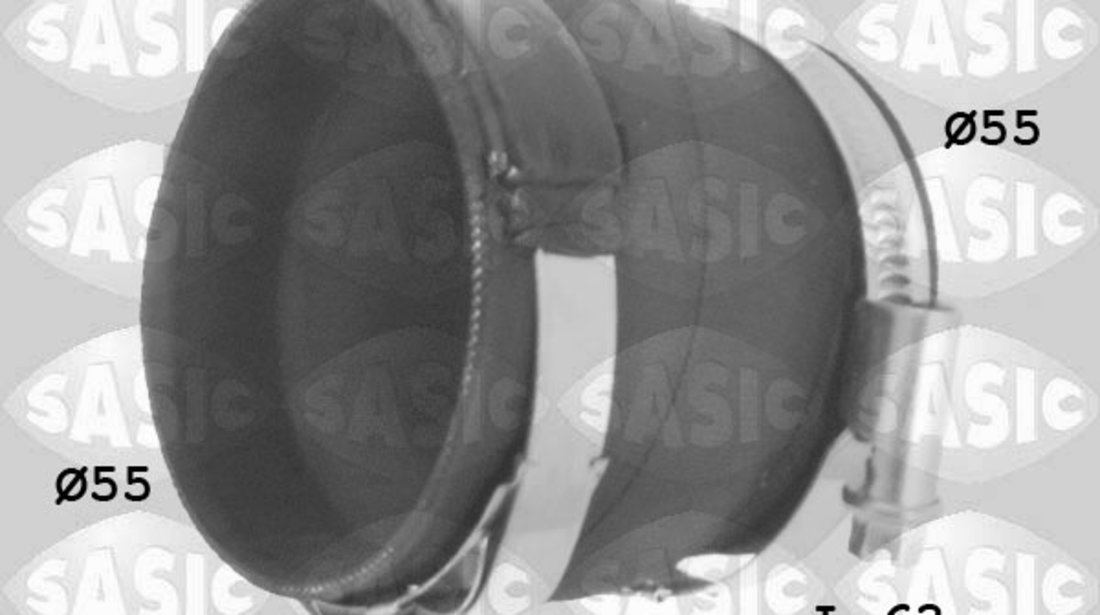 Furtun ear supraalimentare (3350003 SAS) Citroen,PEUGEOT