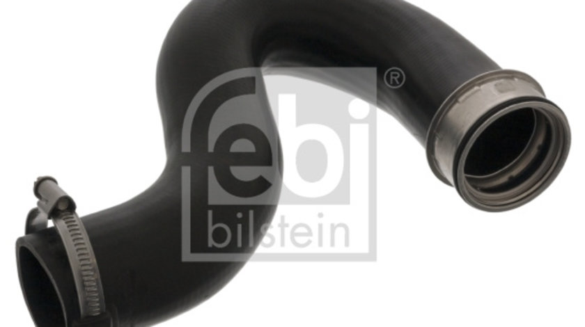 Furtun ear supraalimentare (49227 FEBI BILSTEIN) MERCEDES-BENZ