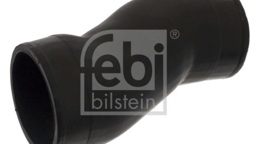 Furtun ear supraalimentare (49249 FEBI BILSTEIN) MERCEDES-BENZ