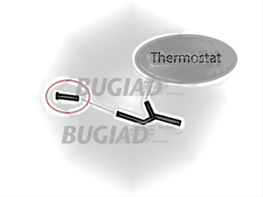 Furtun Ear Supraalimentare Bugiad Ford 88697