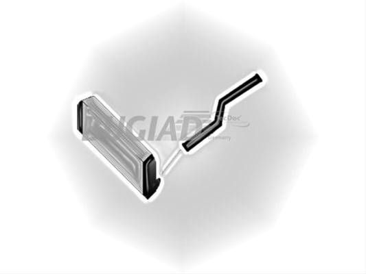 Furtun Ear Supraalimentare Bugiad Nissan 88812
