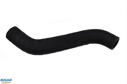 Furtun Ear Supraalimentare Bugiad Vag 82631