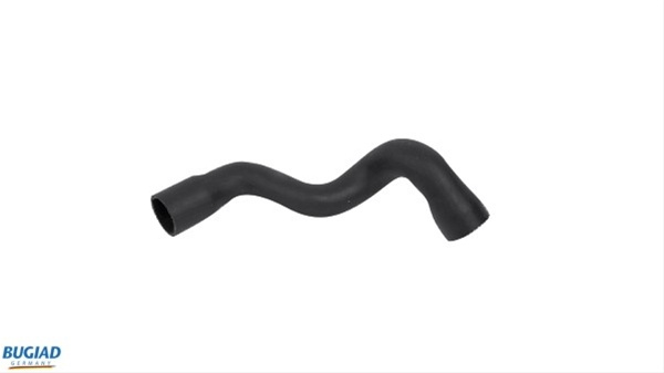 Furtun Ear Supraalimentare Bugiad Vag 86620