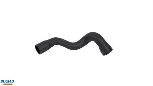 Furtun Ear Supraalimentare Bugiad Vag 86620