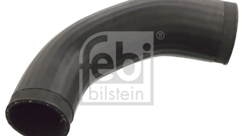 Furtun ear supraalimentare deasupra (103175 FEBI BILSTEIN) VW