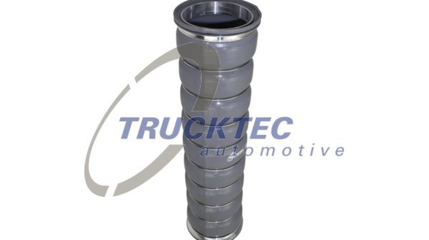 Furtun ear supraalimentare dreapta (0314008 TRUCKTEC) VOLVO