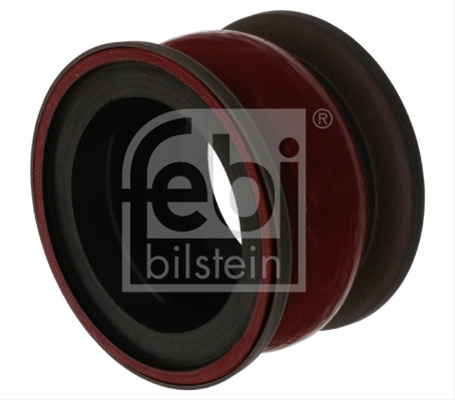 Furtun Ear Supraalimentare Febi Bilstein
