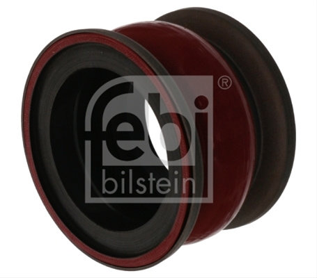 Furtun Ear Supraalimentare Febi Bilstein Daf 46468