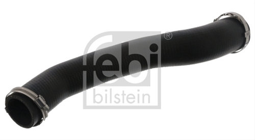 Furtun Ear Supraalimentare Febi Bilstein Ford 46491
