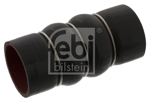 Furtun Ear Supraalimentare Febi Bilstein Ford 46490
