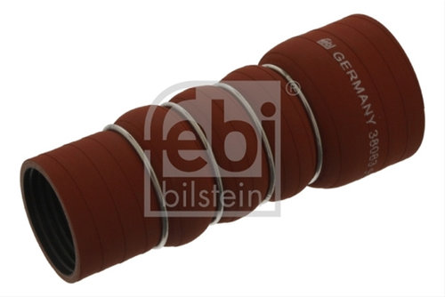 Furtun Ear Supraalimentare Febi Bilstein Man 38083
