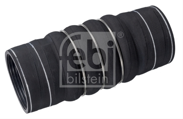 Furtun Ear Supraalimentare Febi Bilstein Man 38084