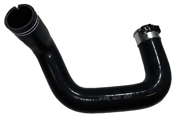 Furtun ear supraalimentare Intercooler (81750 BUG) FIAT