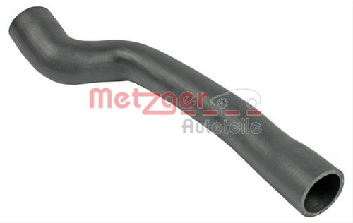 Furtun Ear Supraalimentare Metzger General Motors 2400160