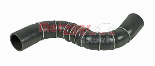 Furtun Ear Supraalimentare Metzger Nissan 2400307