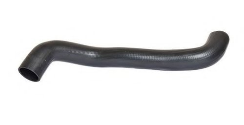 Furtun ear supraalimentare PEUGEOT 806 (221) (1994 - 2002) BUGIAD 88750 piesa NOUA