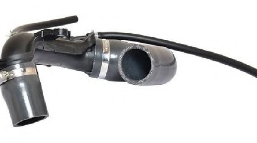 Furtun ear supraalimentare RENAULT CLIO III (BR0/1, CR0/1) (2005 - 2012) BUGIAD 88765 piesa NOUA