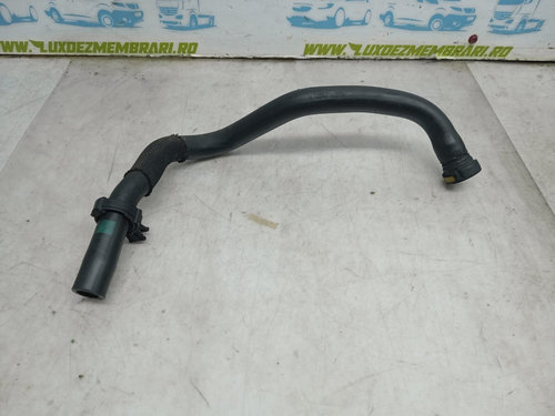 Furtun epurator 8200186227b 1.9 dci F9Q800 Renault Scenic 2 [2003 - 2006]