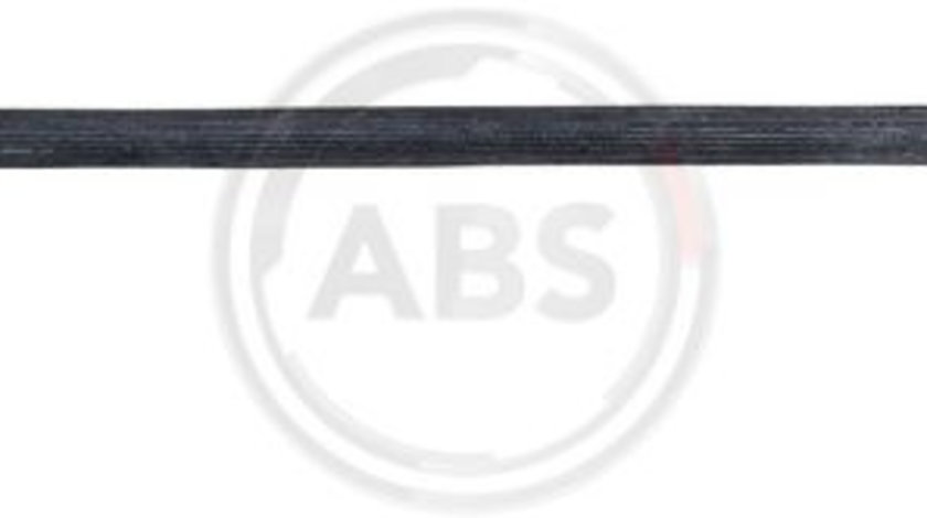 Furtun frana puntea spate (SL6387 ABS) HYUNDAI