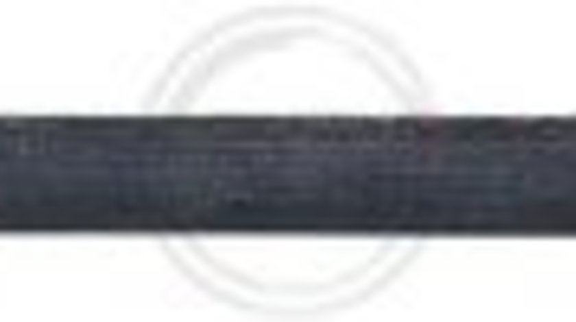 Furtun frana puntea spate (SL6389 ABS) HYUNDAI