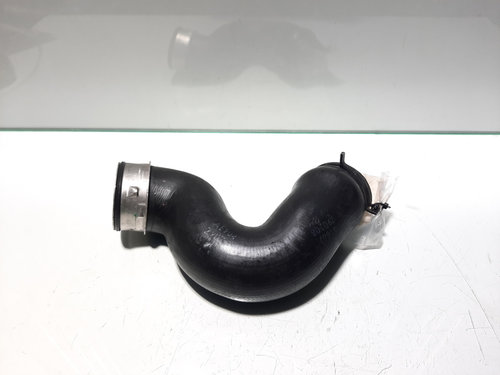 Furtun intercooler, Audi A3 (8P1) 1.9 TDI, BLS (id:270718)