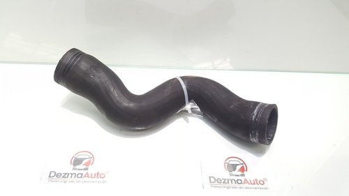 Furtun intercooler, Ford C-Max 2, 1.0B