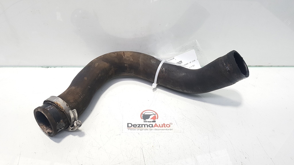 Furtun intercooler, Nissan Qashqai, 2.0 dci, M9R (id:110747)