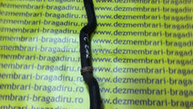 Furtun lichid racire motor Opel Vectra C [2002 - 2...