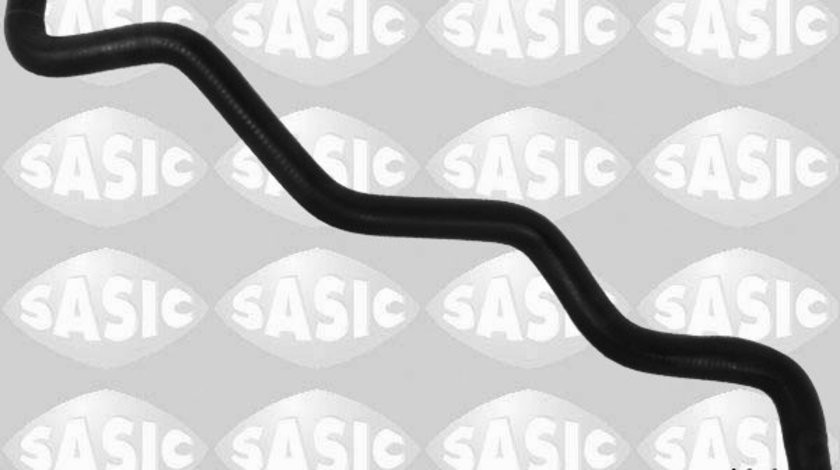 Furtun radiator (3404066 SAS) RENAULT