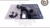 Furtun radiator ; BMW 1 (F20, F21) 2 (F22, F23) 3 ...