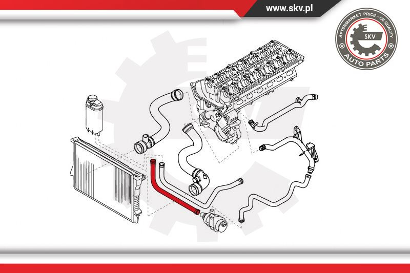 Furtun radiator ; BMW 5 7 ; 11531438633