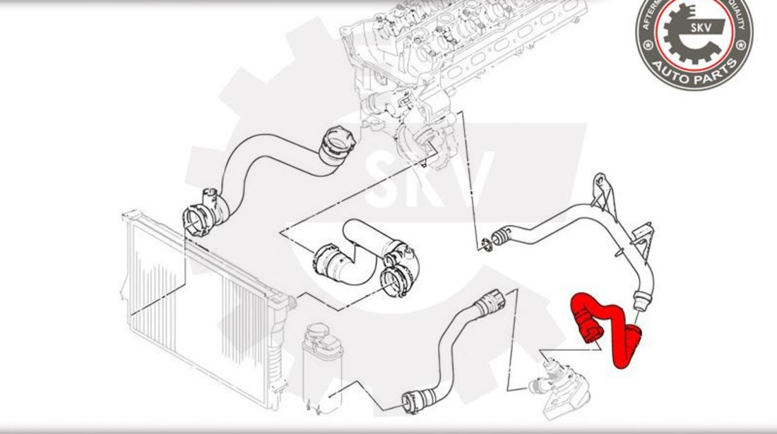 Furtun radiator ; BMW X5 (E53) ; 11537510120