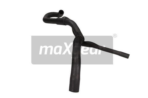 Furtun radiator deasupra (180497 MAXGEAR) FORD