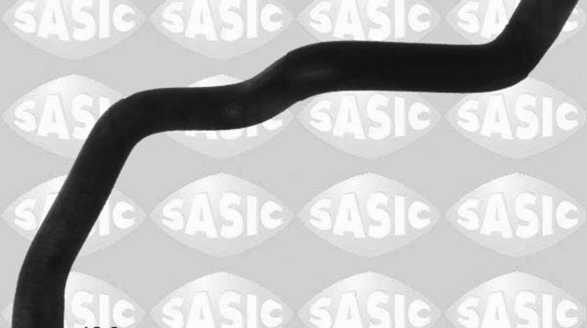 Furtun radiator deasupra (3404107 SAS) RENAULT