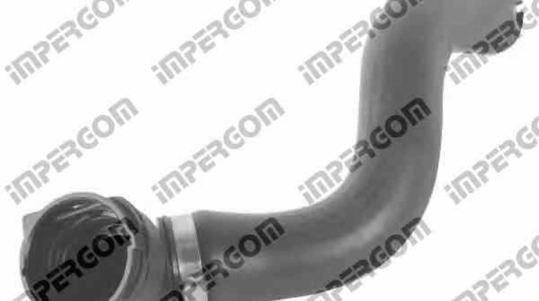 Furtun radiator FIAT DOBLO platou / sasiu 263 ORIGINAL IMPERIUM 19093